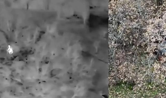 Uşak’ta yasa dışı avcılara termal drone destekli müdahale