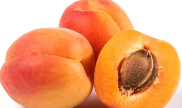 Bitkisel ürünlerde en yüksek yeterlilik kayısı ve zerdalide