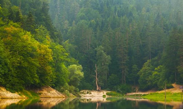 Doğa Koruma ve Milli Parklar'da yeni dönem... Yetkiler artırıldı, cezalar yükseltildi