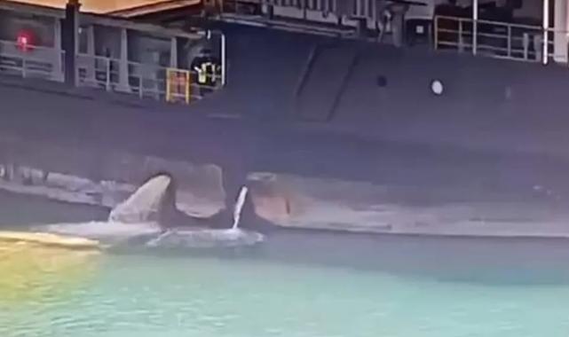 Mersin Limanı’nda denizi kirleten gemiye 13,1 milyon TL ceza