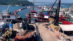 Hamside rekor sezon... 245 bin ton avcılıkla bereketli kapanış