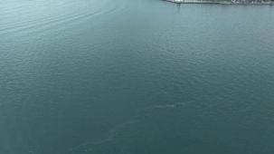 İzmir Körfezi’nde dış kaynaklı kirliliğin önüne geçilemiyor