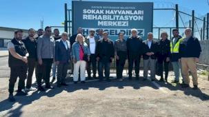 Kayseri Büyükşehir'den can dostlar için örnek hizmet