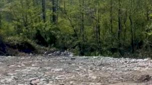 Rize’de vahşi depolamaya milyonluk ceza! Çevre'den suç duyurusu