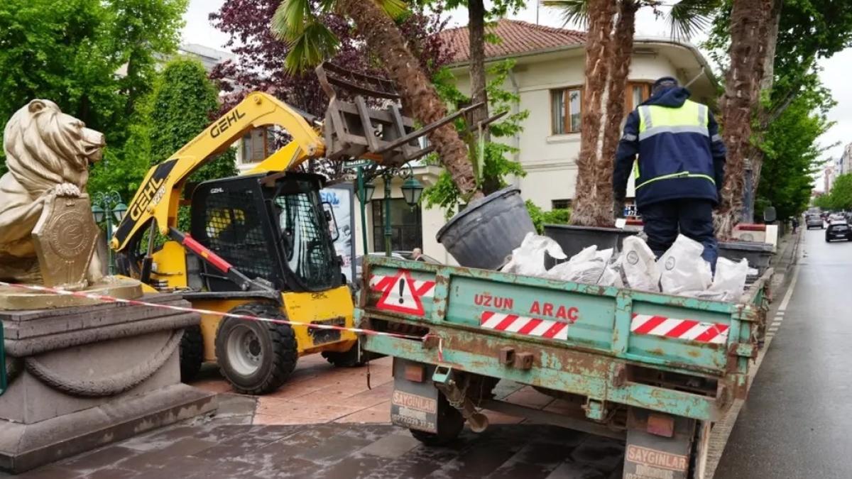 Eskişehir'de Köprübaşı palmiyeleri sahaya çıktı
