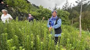 Adana'da 'Ak Zambak'la kadın üretimi ve istihdama katkı