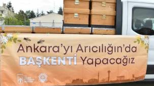 Ankara Büyükşehir'den arıcılara kovan desteği