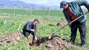 Antalya Büyükşehir ipek böceği yetiştiriciliğini yaygınlaştırıyor