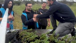 İzmir Aliağa’da yangınların yarası bin fıstık çamıyla sarıldı