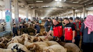 Kurban denetimleri 81 ilde sıkılaştırıldı