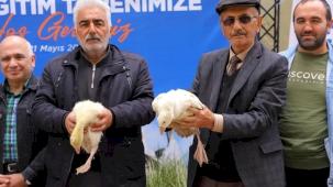 Samsun Büyükşehir'den üreticiye kaz desteği
