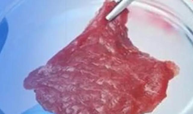 Tarım Bakanlığı’ndan 'yapay et' açıklaması... Türkiye’de üretim ve tüketime izin yok!