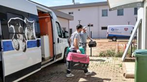 Antalya’da hayvan ambulansı can dostların imdadına yetişiyor