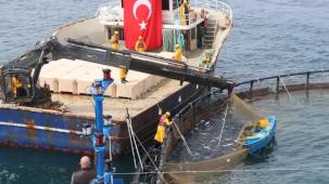 Avcılıkta artış, iç sularda düşüş!