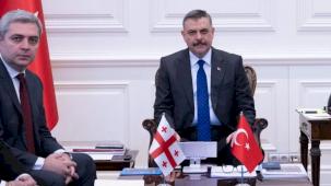 İçişleri Bakanlığı’nda Türkiye-Gürcistan temasları