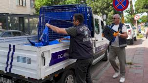 İstanbul Maltepe'de zabıta ekipleri işgallere karşı sahada