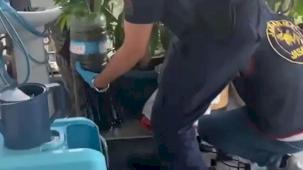 Jandarma’dan 5 ilde uyuşturucuya 341 gözaltı