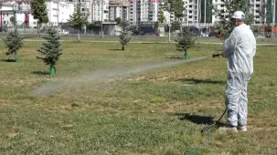 Malatya'da vektörel mücadele sürüyor