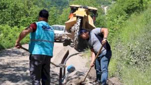 Ordu'da 250 haneye kesintisiz içme suyu sağlandı