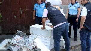 Otogar'da balık operasyonu