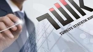 TÜİK bazı ekonomik göstergelerin yayın tarihlerini erteledi