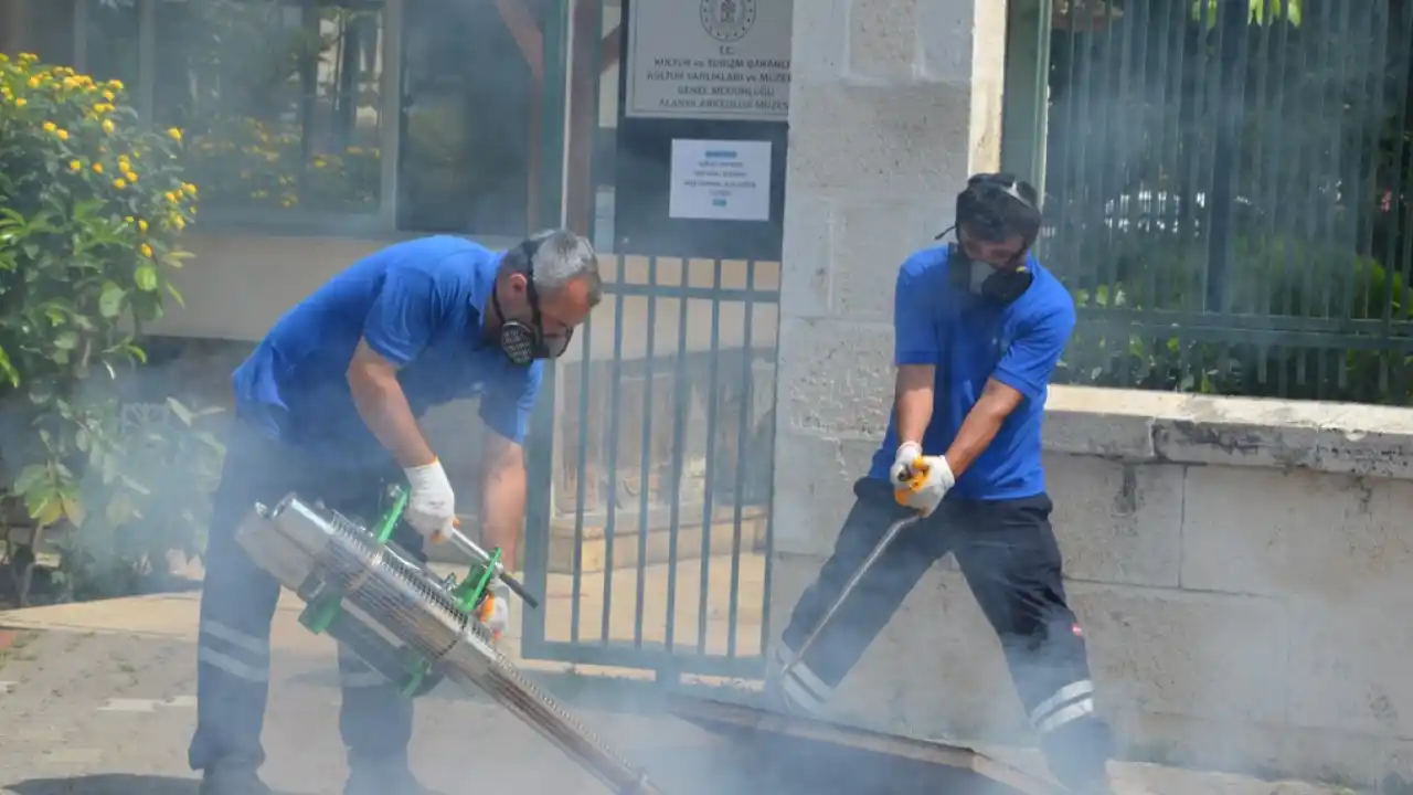 Antalya'da vektörel mücadele 4 koldan yürütülüyor
