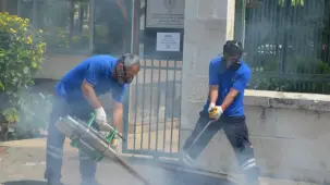 Antalya'da vektörel mücadele 4 koldan yürütülüyor