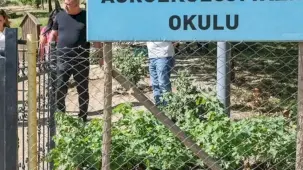 Diyarbakır'da Tıbbi Aromatik Bitki Üretim ve İşleme Tesisi