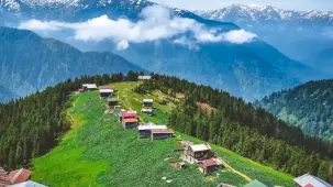 Likya ve Karadeniz turlarına talep bu yıl yüzde 40 arttı