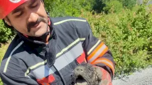 Malatya itfaiyesinden can dosta yardım eli