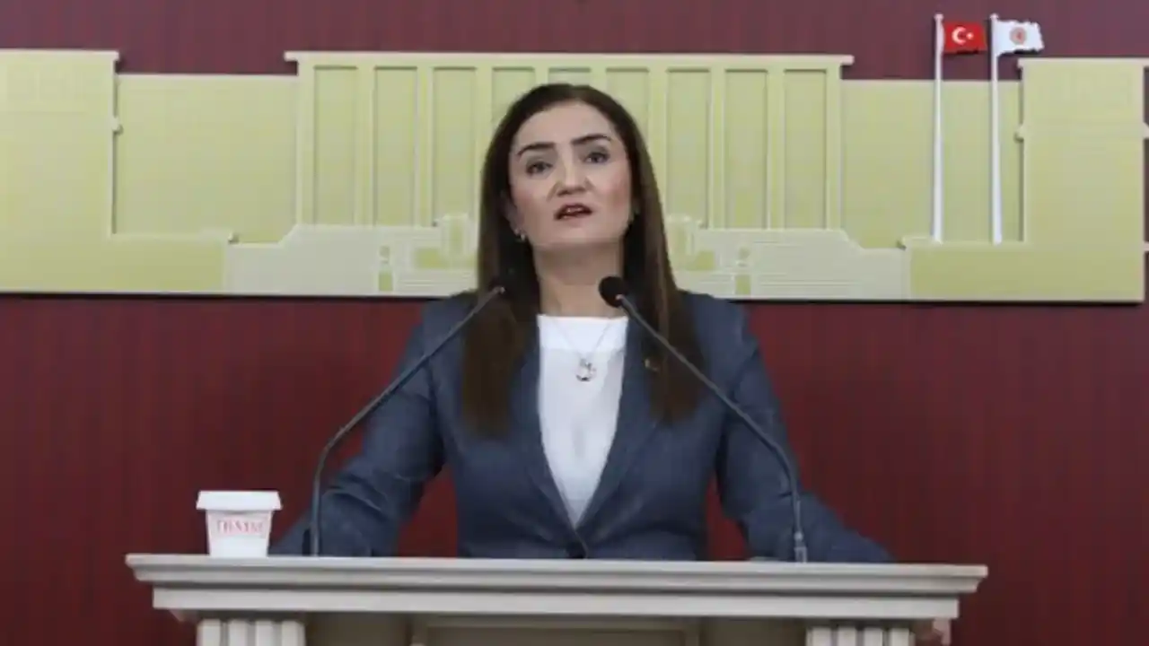 CHP Grup Başkanvekili Kılıç’tan 'silahsızlanma' vurgusu