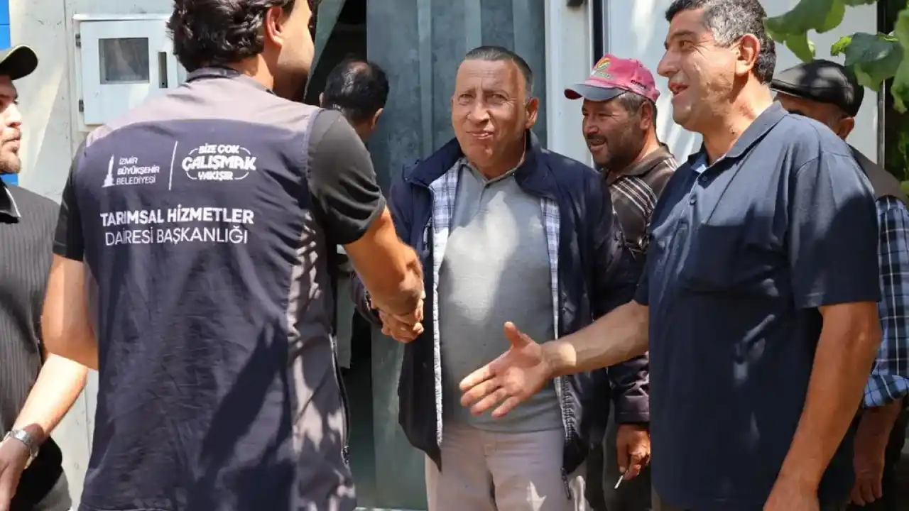 İzmir Büyükşehir tarım üreticisinin imdadına yetişti