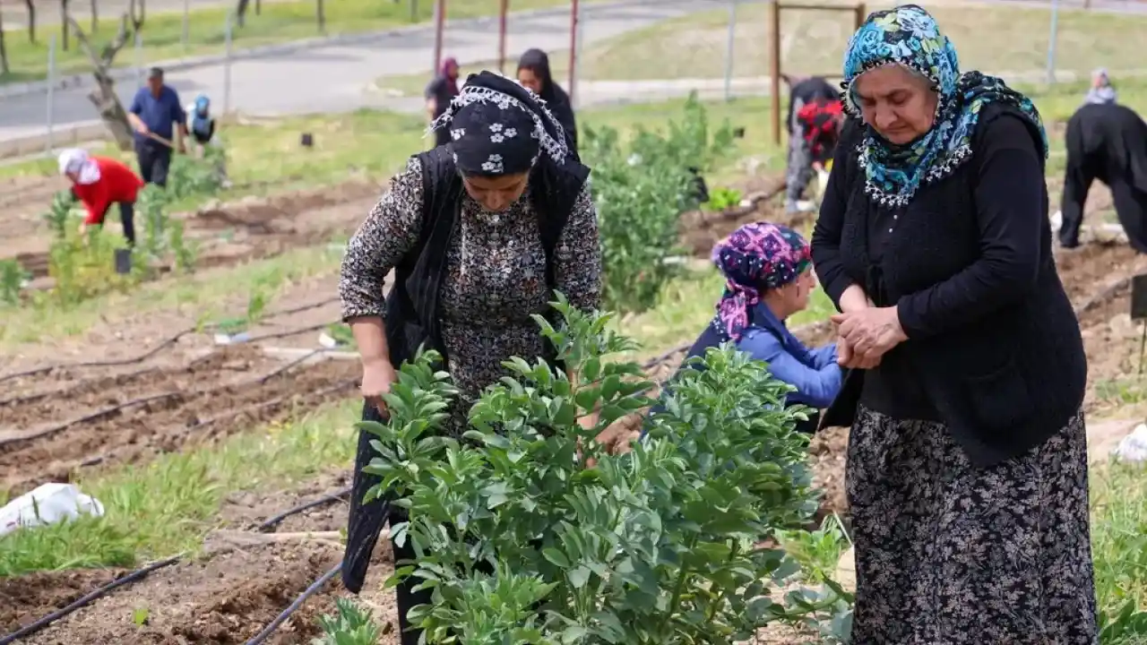 İzmir Mahalle Bostanları büyüyor