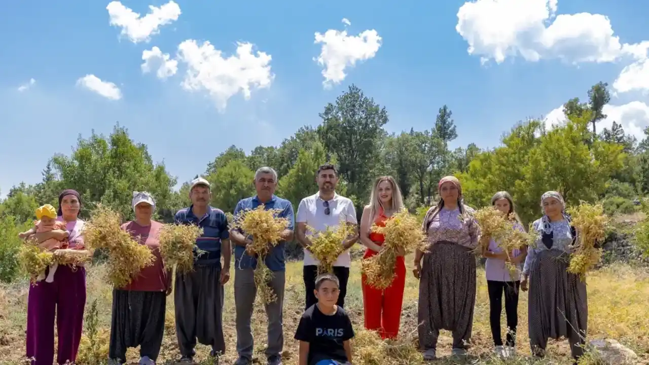 Mersin’de yerel tohumlar geleceğe taşınıyor