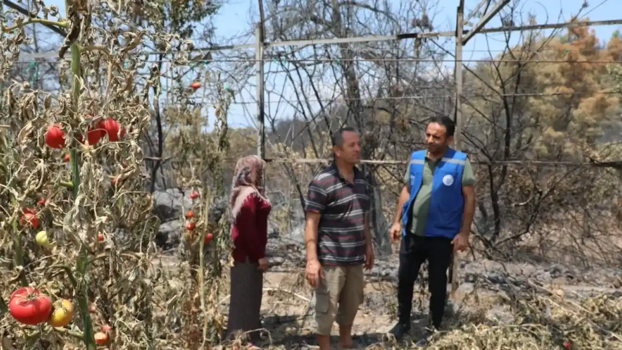 Muğla Seydikemer'de yangın sonrası seferberlik