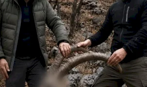6 yıl önceki kaçak avın failleri tespit edildi! 5 yaban keçisi için ceza uygulandı