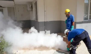 Antalya’da haşere ve sivrisinekle mücadele aralıksız sürüyor