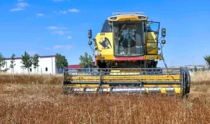 ATA Çiftliği’nde karabuğday hasadı başladı
