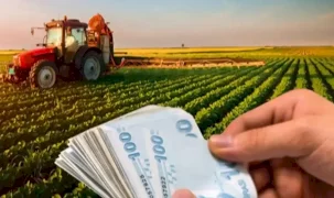 Çiftçilere 195,6 milyon liralık tarımsal destek hesaplarda