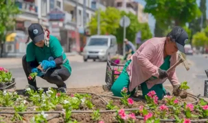 Daha yeşil Milas için yoğun çalışma