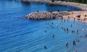 Darıca sahilinde dehşet! Denizden 3 ceset çıktı!