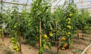 Eskişehir’de Çiftçi Destekleme ve Eğitim Merkezi kuruluyor
