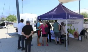 İzmir'de Efes Selçuklu incir üreticisine destek
