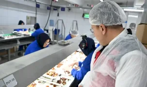 İzmir'de organik tarıma yerinde inceleme
