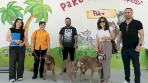 İzmir'de patili dostlar iş başında