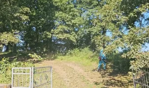 Kocaeli Derince’de mezarlıklara titiz bakım