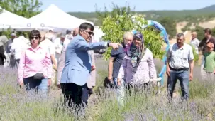 Kütahya’da lavanta hasadı coşkusu