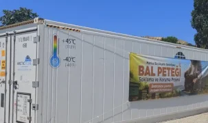 Manisalı arıcıların petekleri büyük balmumu güvesine karşı korunacak
