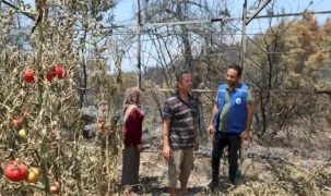 Muğla Seydikemer'de yangın sonrası seferberlik