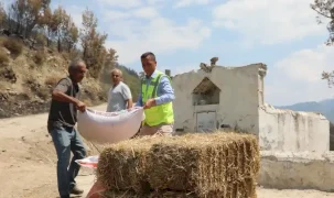 Muğla Seydikemer’de yaralar hızla sarılıyor